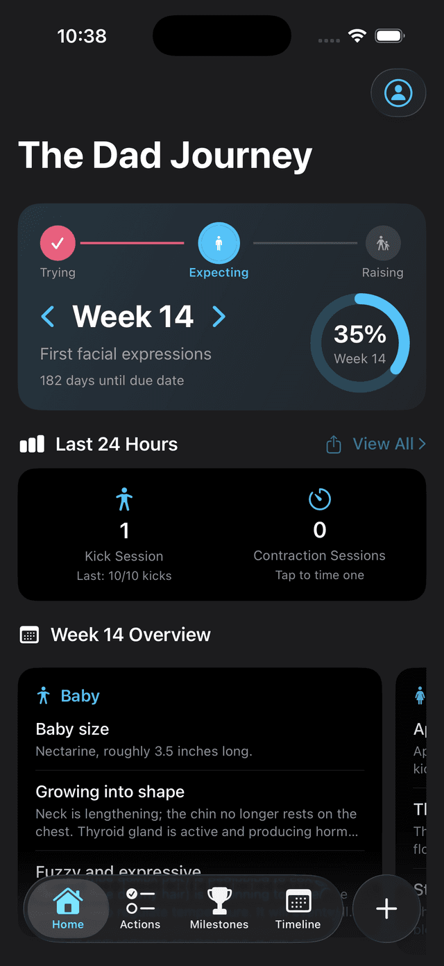 Dad Suite app showing week-by-week pregnancy guidance